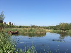 -前关湿地公园