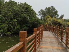 -大湾区中央湿地公园
