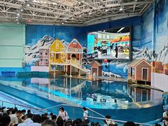 -西安曲江海洋极地公园