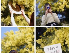 -厦门国家会计学院