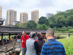-龙头寺公园