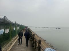 -鄱阳湖国家湿地公园