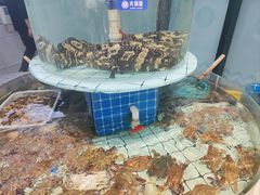 -大锅强·蒸海鲜青岛菜(吾悦广场店)