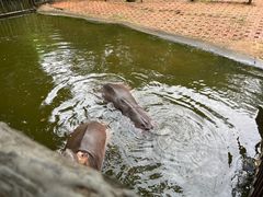 -海南热带野生动植物园