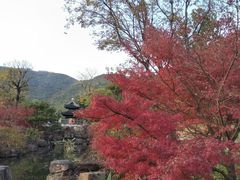 -孙武文化园-停车场