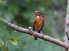 -苏州河梦清园环保主题公园