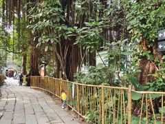-小洲村