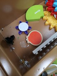 -莫莉幻想儿童乐园(武汉保利广场店)