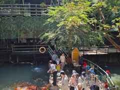 -海南槟榔谷黎苗文化旅游区