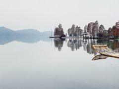 -东湖落雁景区