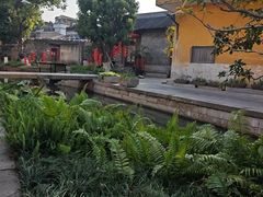 -碧江金楼