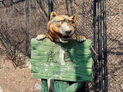 -大连森林动物园