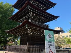 -医王山·飞騨国分寺