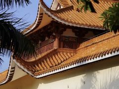 -深圳仙湖植物园
