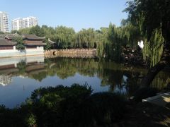 -水绘园