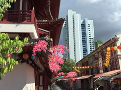 -新加坡佛牙寺龙华院