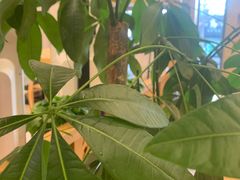 -德克士(宽甸店)