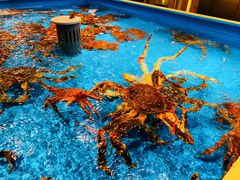 -日进一片海.生腌海鲜火锅.宵夜烧烤(三里屯总店)