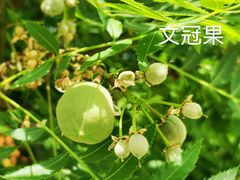 -北京石刻艺术博物馆(五塔寺)