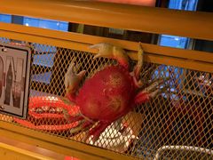 招牌肉蟹煲-胖哥俩肉蟹煲(来福士店)