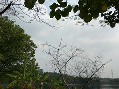 -广东花都湖国家湿地公园