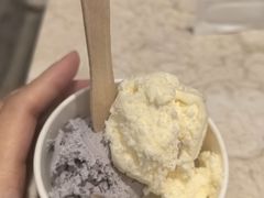 -上海浦东康桥绿地假日酒店