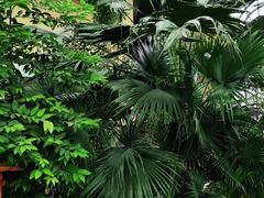 -郑州银基黄帝宫御温泉