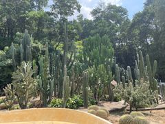 -深圳仙湖植物园