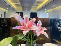 -法兰度航空主题餐厅(端州店)