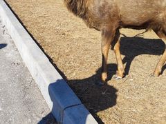 -好利来(桃源店)