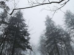 -凤凰山国家森林公园