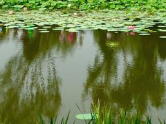 -武清南湖绿博园