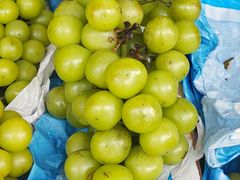 -易买盛生活超市(东来荟邻生活广场店)