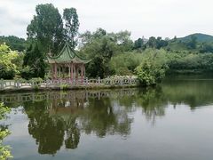 -大屏嶂森林公园