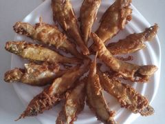 煲来饱去冷水鱼-煲来饱去冷水鱼