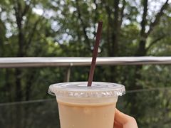 -南宁良凤江国家森林公园