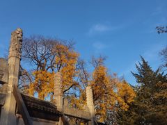 -苏州文庙(姑苏区)