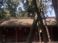 -武侯墓风景区