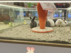 -meland亲子乐园•派对•研学(苏州悠方购物中心店)