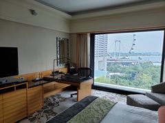 -新加坡文华东方酒店