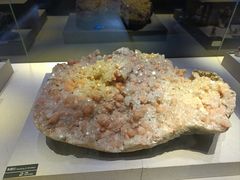 -河南自然博物馆