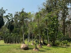 -中国科学院西双版纳热带植物园