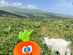 -新疆那拉提国家旅游度假区