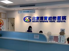 -北京观赏动物医院·24小时大型综合·猫专科·异宠专科