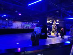 -VS SPORTS PARK运动玩乐园·团建·生日会(合生汇店)