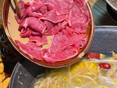 -阳阳老火锅(小南门店)