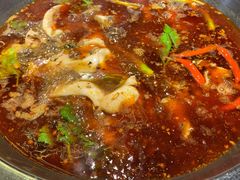 红锅锅底-蜀滋香鲜鱼美蛙火锅(339店)