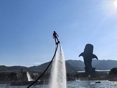 -珠海长隆海洋王国