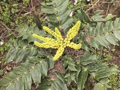 -山王坪喀斯特国家生态公园