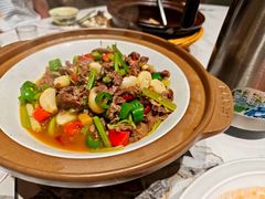 -阿露佳·安吉菜